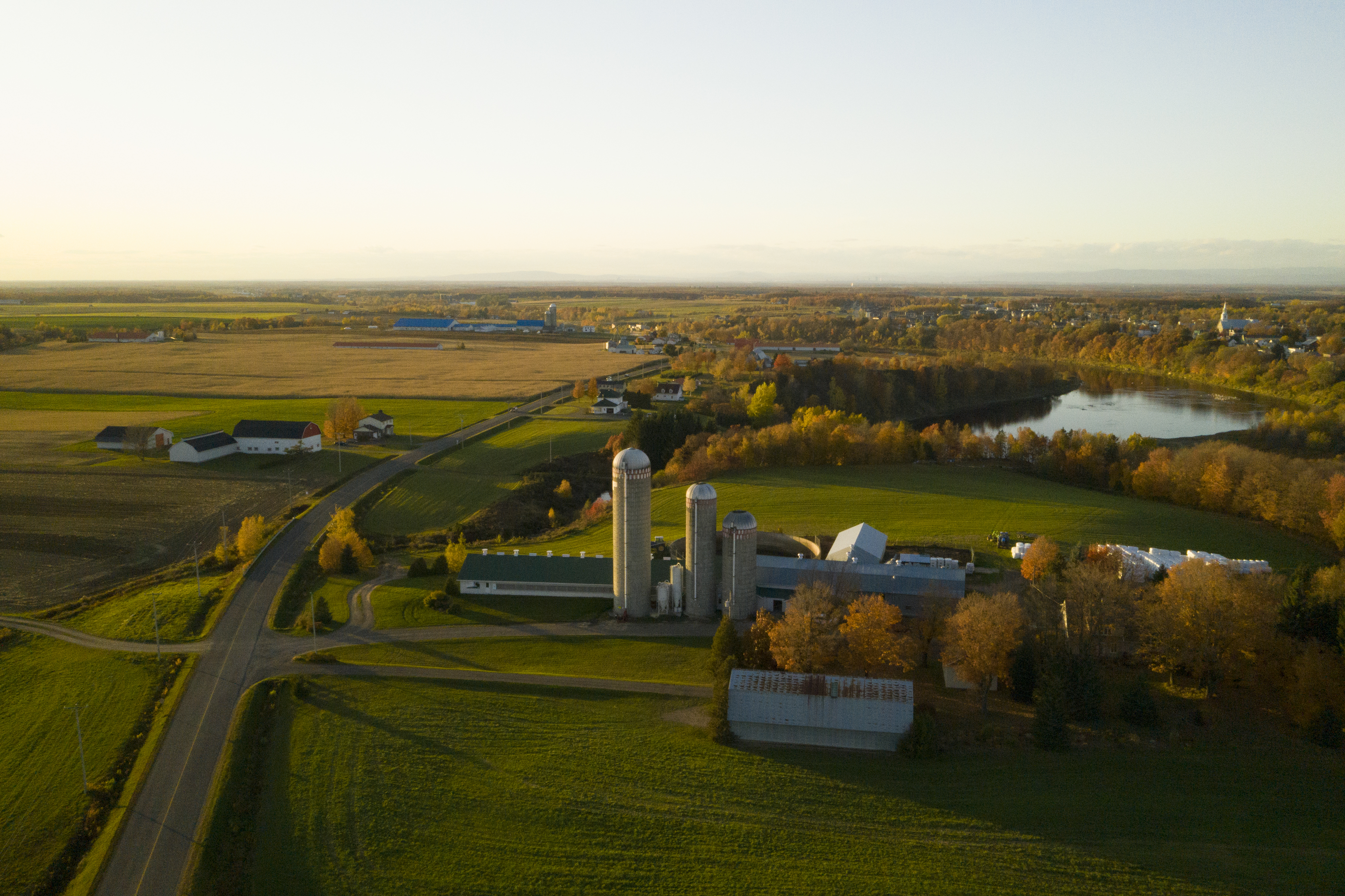 agriculture