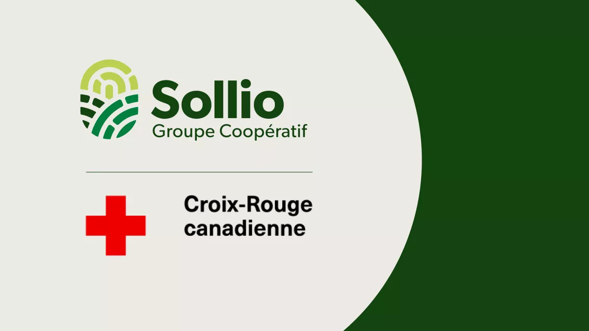 Feux forêt