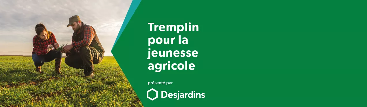 Tremplin